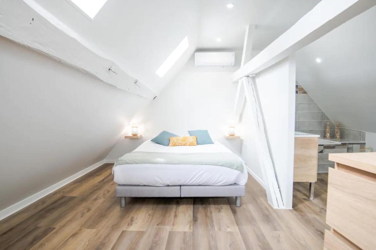 Comfortable Air-Conditioned T3 In The Heart Of Amboise With Parking Space Екстер'єр фото