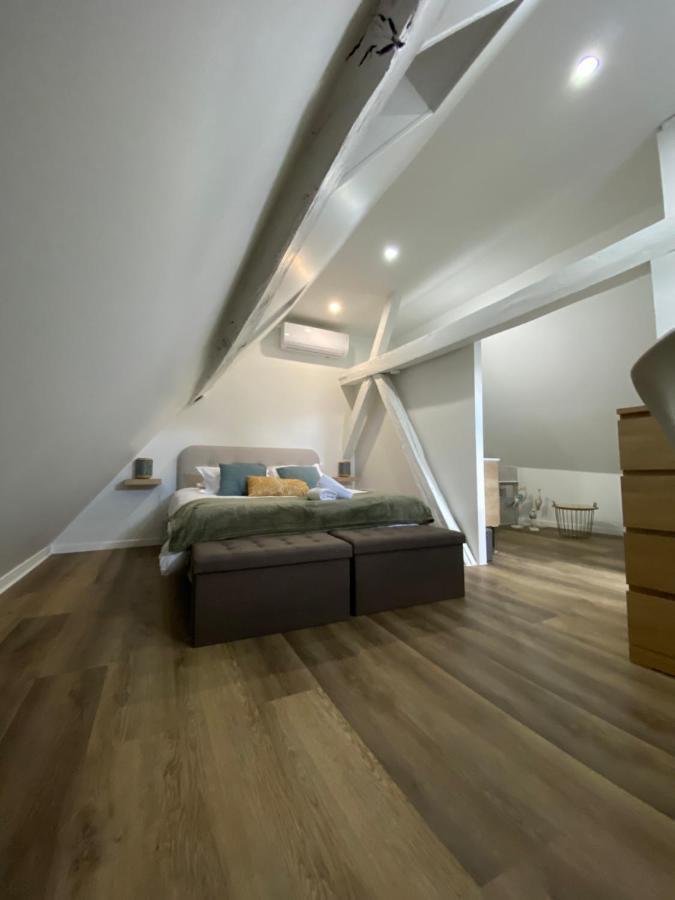 Comfortable Air-Conditioned T3 In The Heart Of Amboise With Parking Space Екстер'єр фото