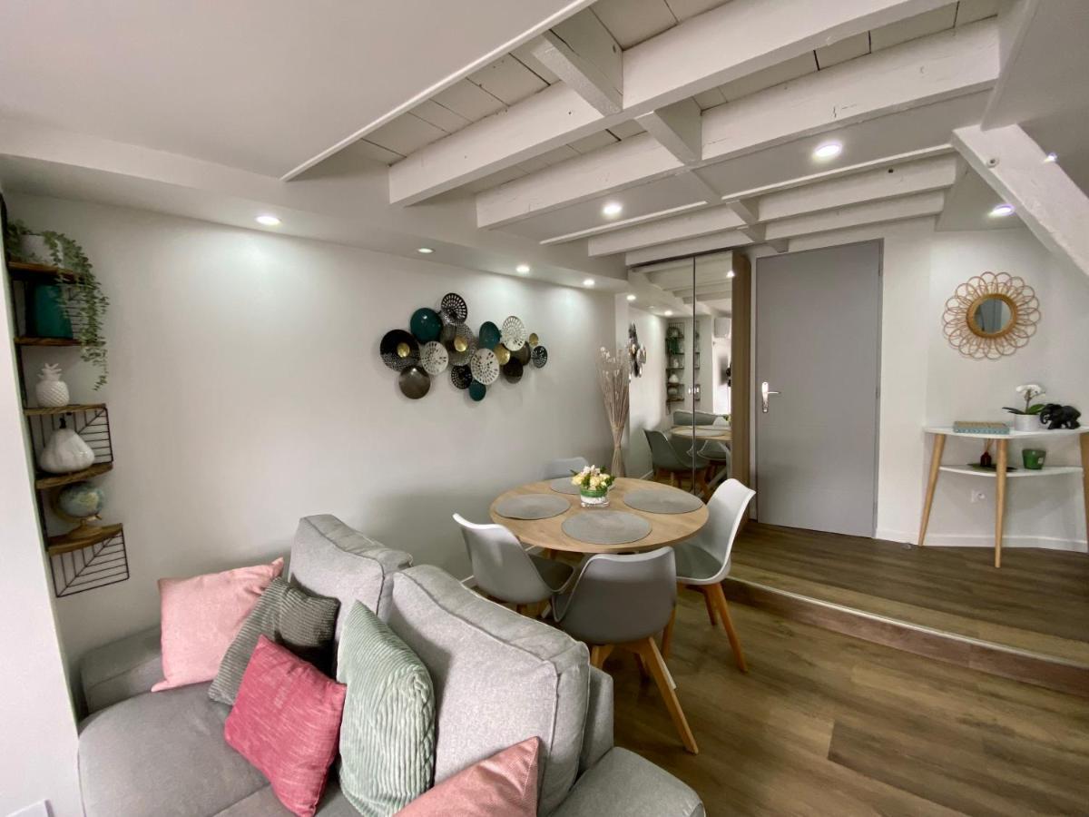 Comfortable Air-Conditioned T3 In The Heart Of Amboise With Parking Space Екстер'єр фото