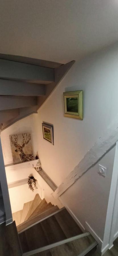 Comfortable Air-Conditioned T3 In The Heart Of Amboise With Parking Space Екстер'єр фото